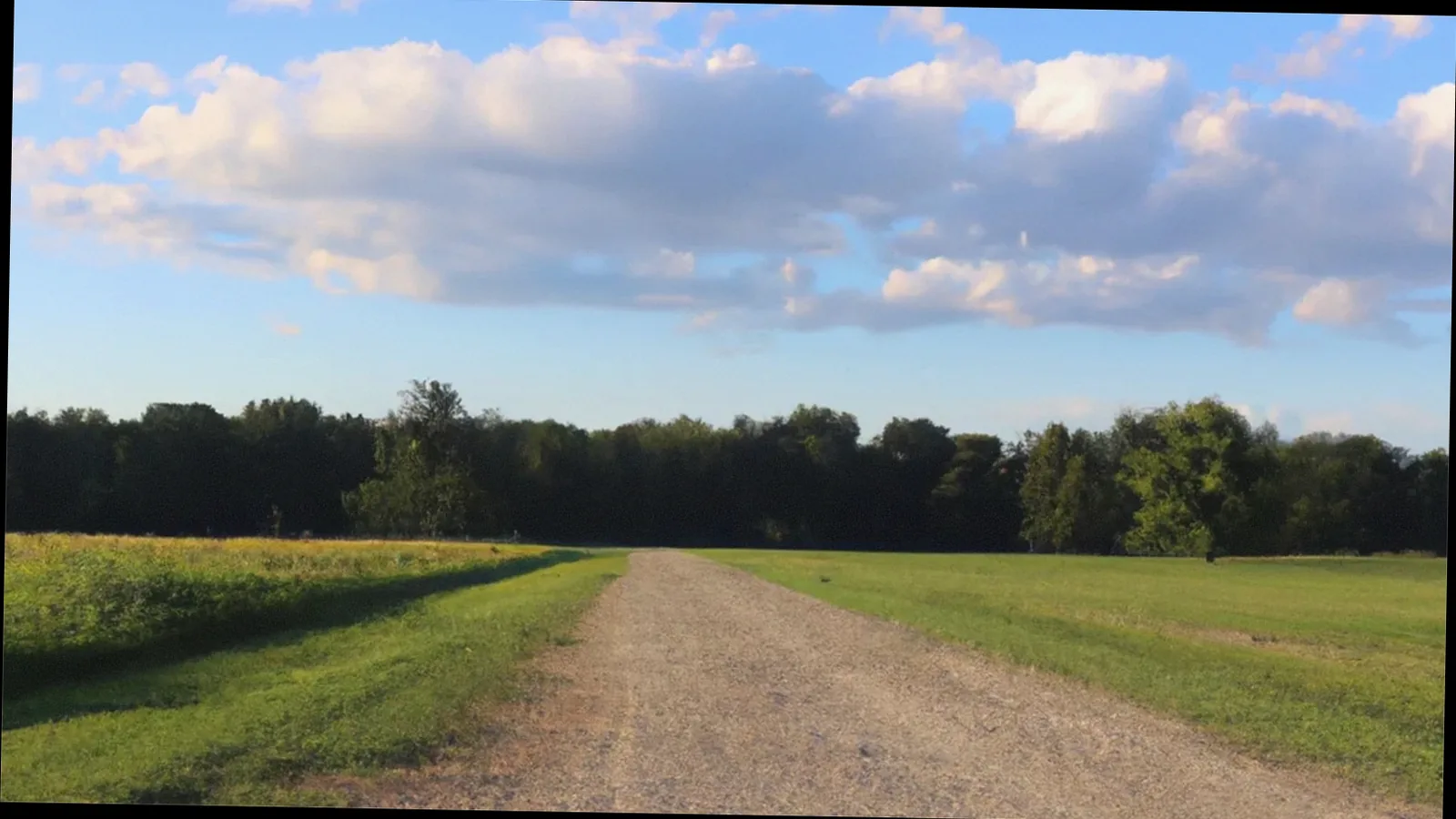 hillsdale Michigan land